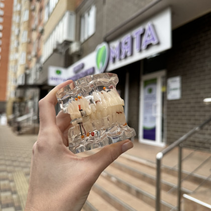 Фотогалерея стоматологии Мята